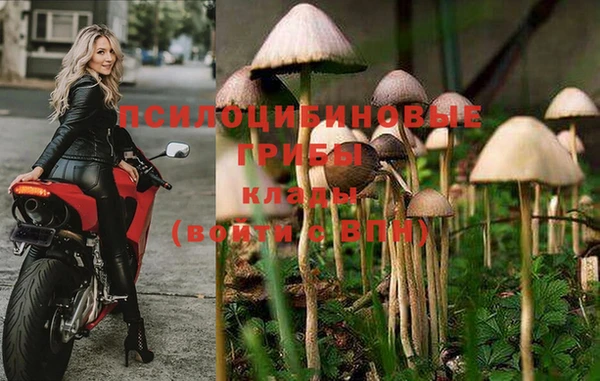 скорость Алексеевка