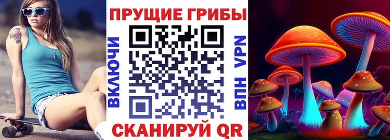 Галлюциногенные грибы Psilocybe Беслан