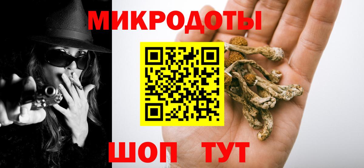 Псилоцибиновые грибы Psilocybe Беслан